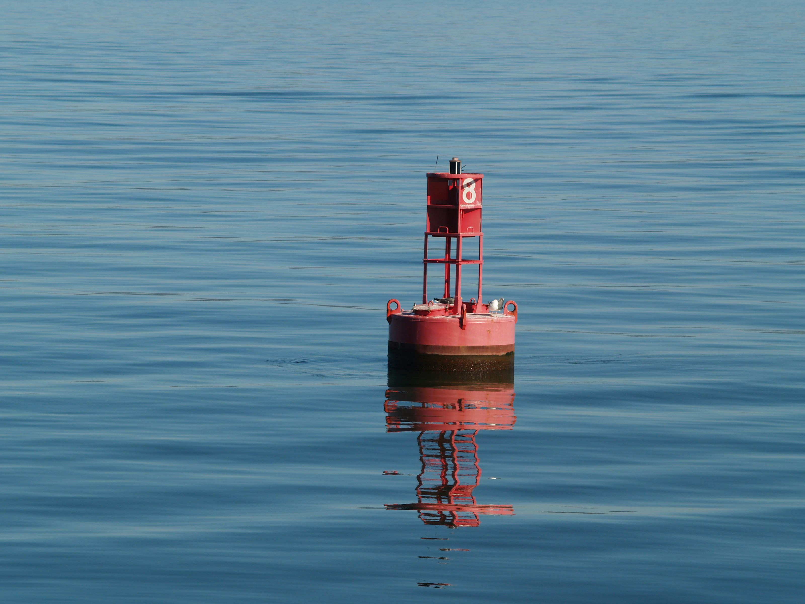 Une balise rouge en mer.
